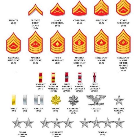 Sgt Aguilar Marines on Instagram: “Reposted from @sgt_padilla (@get_regrann) -  Marine Corps rank structure.  As a Marine moves up the ladder, his or her responsibility and…” Marine Ranks Chart, Marine Corps Rank Structure, Marine Ranks, Usmc Ranks, Navy Ranks, Marine Corps Ranks, Marine Military, Marine Corps Humor, Military Relationships