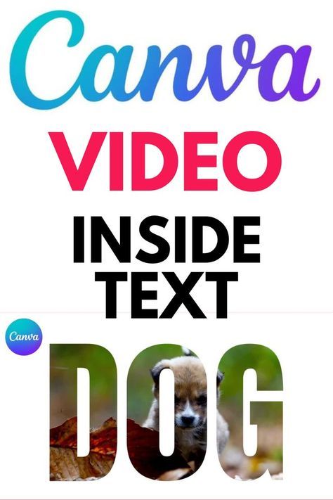 how to place video inside the text in canva Place Video, Fonts For Instagram, Trendy Fonts, Pinterest Graphics, Teacher Tech, Canvas Learning, Marketing Graphics, Life Hacks Computer, Free Stuff By Mail