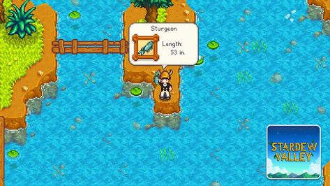 Stardew Valley – Where to Catch Sturgeon 🔥 Fishing in Stardew Valley can be very profitable if you spend enough time mastering the minigame. After a while, fish will just seem to jump into your lap. However, there are some fish that you will want to catch more than others. One of the most profitable fish in Stardew Valley is the Sturgeon. Why? […] ⚔ 🎮 #gaming #news #gamerempire #guide #videogames #gamingnews Sturgeon Stardew Valley, Sturgeon Fish, Types Of Fish, Stardew Valley, Best Fishing, Reading Recommendations, Rainy Day, The Game, Board Games