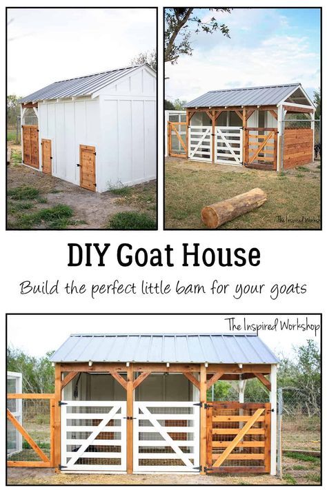 Diy Goat House, Goat Farming Ideas, Goat Pen Ideas, Goat Pens, Goat Feeders, Goat Fencing, Milking Goats, Goat Fence, Milk Goats