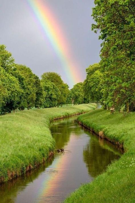 Arc En Ciel Aesthetic, Rainbow Photography Nature, Rainbow Promise, Rainbow Waterfall, Rainbow Pictures, Rainbow Photography, Rainbow Painting, Rainbow Sky, Image Nature