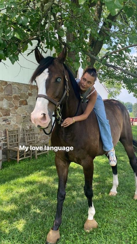 Stile Kendall Jenner, Equestrian Aesthetic, Equestrian Girls, Horse Aesthetic, Make Up Looks, Equestrian Life, Cute Horses, Horse Life, Shooting Photo