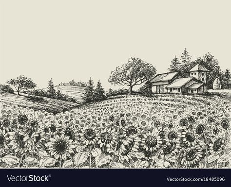 Sunflower Field Drawing, Field Drawing, Sunflower Drawing, Open Flower, Sunflower Field, Search And Find, Graphite Drawings, Sunflower Fields, Map Design