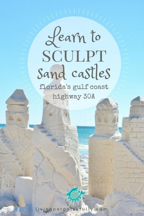 Sand Castle Ideas Easy, Animals And Habitats, Beach Apparel, Sand Castles, Gulf Coast Florida, Beach Vacay, Dc Travel, Activities Games, Castle Art