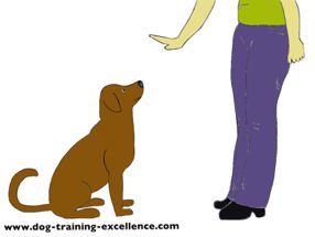 Dog Training Hand Signals - A picture instructional guide From your friends at phoenix dog in home dog training"k9katelynn" see more about Scottsdale dog training at k9katelynn.com! Pinterest with over 18,700 followers! Google plus with over 122,000 views! You tube with over 400 videos and 50,000 views!! Serving the valley for 11 plus years Twitter 2000 plus! Dog Sign Language, Crate Training Puppy Schedule, Dog Training Hand Signals, Puppy Training Guide, German Shepherd Puppies Training, Dog Hand Signals, Dog Biting Training, Crate Training Puppy, Puppy Crate