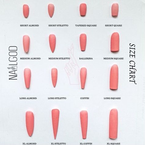 NAILGOD on Instagram: “NAILGOD size chart 👀 💅🏻what type of babe are you? 🍒a master nail stylist can preform ALL styles on demand! It takes about a year to…” Nail Sizing Chart, With Acrylic Nails, Nail Stylist, Coffin Shape Nails, What Type, Cosmetology, Sizing Chart, Beautiful Nails, Surgery