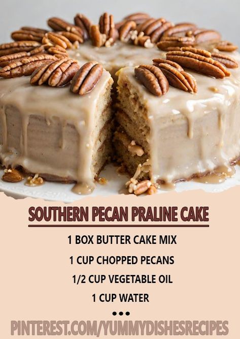 Recipe - RECIPE - Southern Pecan Praline Cake Southern Butter Pecan Praline Cake, Chocolate Cake With Praline Frosting, Praline Icing Recipe, Southern Pecan Praline Cake Recipe, Pralines Cake Recipe, Praline Frosting Recipe, Pecan Praline Desserts, Chop Suey Cake, Parlin Pecan Cake