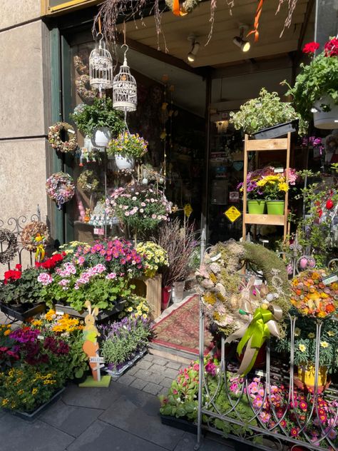 Flowerist Shop Aesthetic, Florist Aesthetic Shop, Florist Job Aesthetic, Korean Flower Shop Aesthetic, Flower Shop Aesthetic Interior, Florist Aesthetic Male, Flower Shop Owner Aesthetic, Garden Shop Aesthetic, Flower Shop Aesthetic Vintage