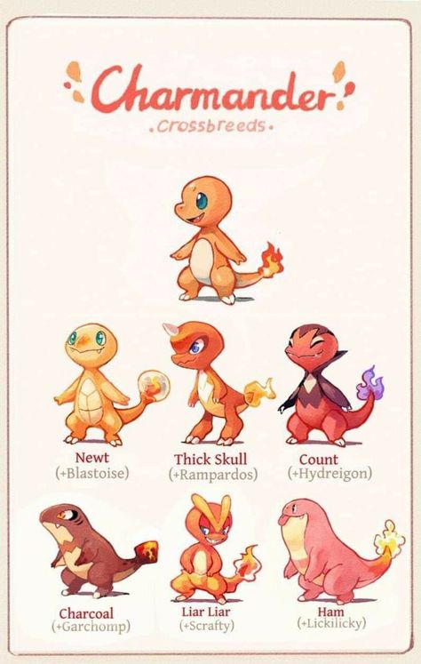 Pokemon Design Ideas, Pokemon Dungeon, Pokemon Variants, Pokémon Fusions, Pokemon Mix, Pokemon Variations, Pokemon Fusion Art, Mega Pokemon, Pokemon Breeds