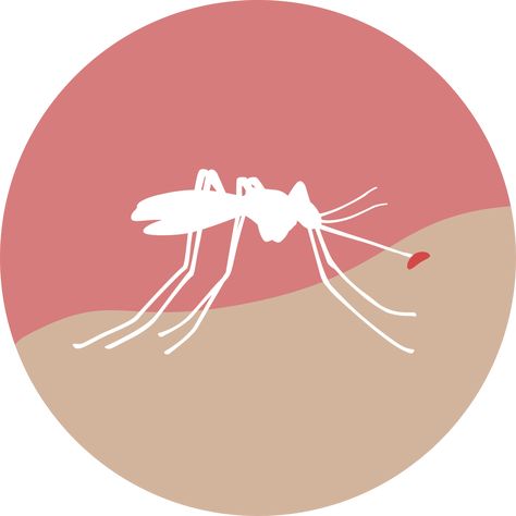 The World Health Organization has labeled the Zika virus and its link to complications in newborns as an international health emergency. Zika Virus, Digital Storytelling, World Health Organization, Current News, Usa Today, Biology, Storytelling, Disease, Science