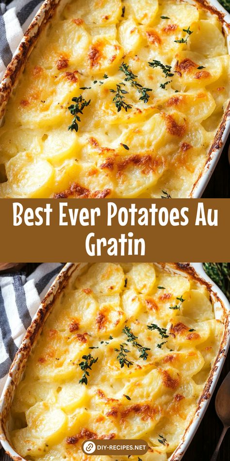 Discover the best Potatoes Au Gratin recipe! Creamy, cheesy, and perfectly golden, this dish is perfect for holidays or a special family meal. Homemade Potato Au Gratin, Chicken And Potato Au Gratin Casserole, Scalloped Yukon Gold And Sweet Potato Gratin, Gold Potato Recipes Easy, August Gratin Potatoes, Potato Al Graten, Best Potato Casserole Recipes, Augratin Potatoes Recipe Crockpot, Boursin Potatoes Recipe