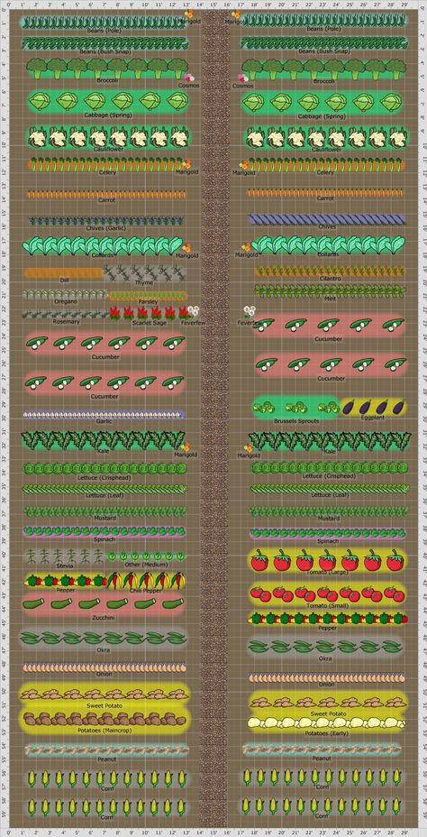 Garden Planning Layout, Vegetable Garden Planner, Garden Layout Vegetable, Vegetable Garden Planning, Garden Plan, Garden Vines, Market Garden, Garden Design Layout, Garden Planner