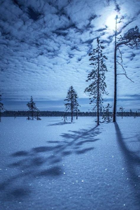 Snowy Landscape, Winter Scenery, Winter Beauty, Snow Scenes, Winter Pictures, Winter Wonder, Winter Night, Alam Yang Indah, Winter Blues