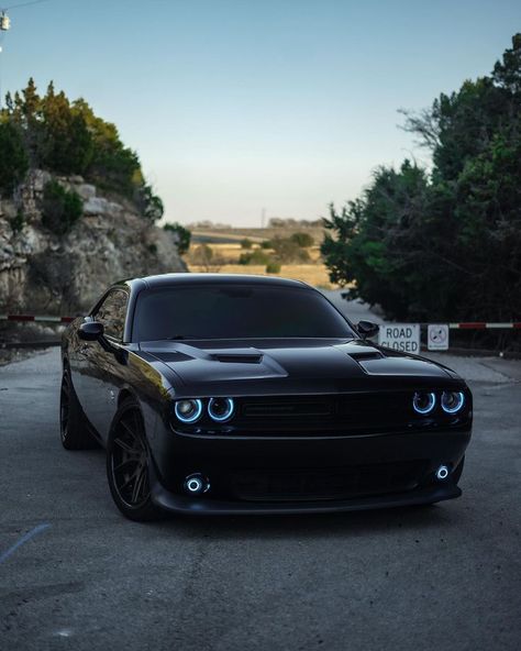 American Muscle Cars Dodge, Dodge Challenger Hellcat, Dodge Muscle Cars, Hellcat Challenger, Dodge Challenger Srt, Mopar Muscle, Nissan Gt-r, My Dream Car, Dodge Challenger