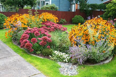 How to Create a Rain Garden Rain Garden Ideas, Rain Garden Design, Rain Gardens, Garden Steps, Dry Creek, Pollinator Garden, Rain Garden, Gardening Advice, Garden Irrigation System