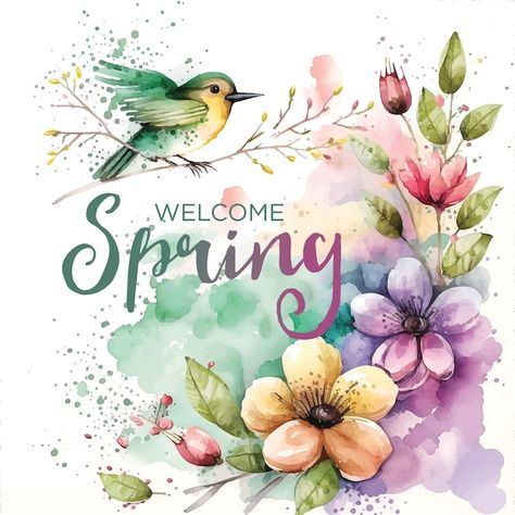 Vector welcome spring watercolor paint i... | Premium Vector #Freepik #vector 1st Day Of Spring, Baby Cartoon Drawing, Spring Watercolor, Spring Illustration, Spring Images, Spring Pictures, Friendship Day Quotes, Watercolor Flower Art, Vintage Spring