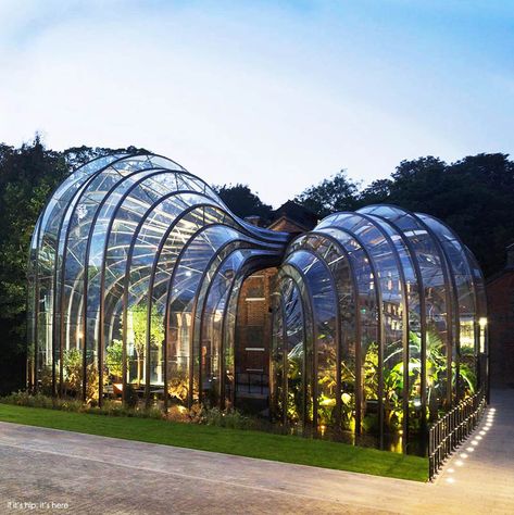 Thomas Heatherwick, Bombay Sapphire, Home Greenhouse, Fantasy Homes, Green Architecture, Nature Conservation, Global Design, Greenhouses, Modern Buildings