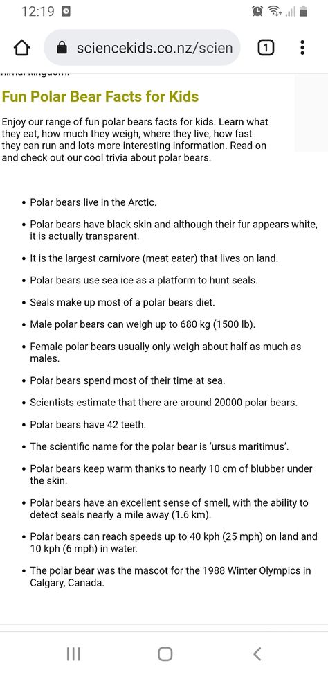 Bear Facts For Kids, Polar Bear Habitat, Polar Bear Facts, Bear Facts, Bear Habitat, Sea Ice, Physical Features, Interesting Information, Activity Days