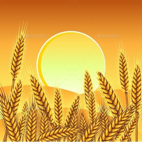 Farmer Painting, Cute Designs To Draw, Gold Wallpaper Background, Free Green Screen, Indian Art Gallery, Photoshop Images, Vector Character, Backdrops Backgrounds, Outdoor Christmas Decorations