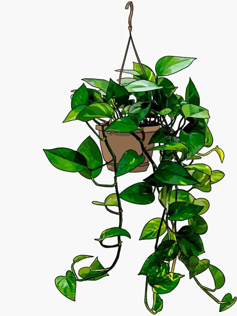 Hanging Pothos, Pothos Vine, Tire Garden, Plant Tattoo, Green Sticker, Pothos Plant, Plant Wallpaper, Plant Painting, Plant Drawing