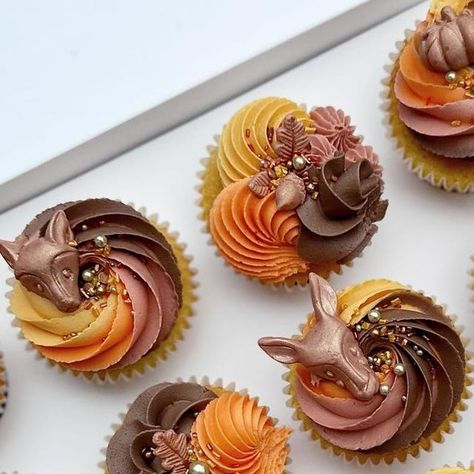 Autumnal Cupcakes, Acorn Cupcakes, Fall Decorated Cupcakes, Autumn Cupcakes, Decorated Cupcakes, Fall Cupcakes, Orange Chocolate, Floral Cupcakes, Cupcake Designs