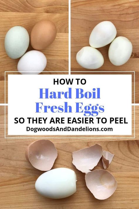 Boil Fresh Eggs, Hard Boil Fresh Eggs, Creative Egg Recipes, Peeling Hard Boiled Eggs, Protein Rich Snacks, Perfect Hard Boiled Eggs, Hard Boiled Egg, Perfect Eggs, Duck Eggs