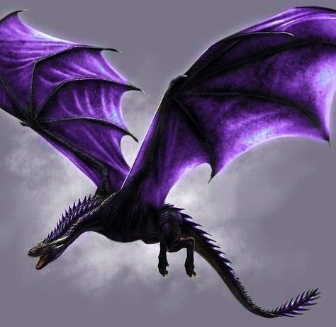 Game Of Thrones Dragons, Got Dragons, Wings Of Fire Dragons, Dragon Artwork Fantasy, Animal Illustration Art, Purple Dragon, Mythical Animal, Game Of Thrones Art, Dragon Rider