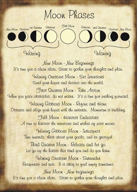 Halloween Spell Book, The Moon Phases, Halloween Spells, Moon Spells, Wiccan Witch, Magick Spells, Wicca Witchcraft, Witch Spell, Wiccan Spells