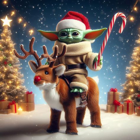 Bill Binder, Funny Thursday Quotes, Squishmallows Birthday, Chocolate Movie, December Pictures, Winter Humor, Yoda Images, Yoda Quotes, Yoda Funny