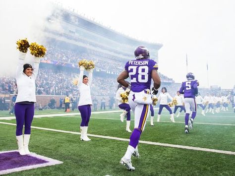 Vikings Game, Nfl Games, Nfl History, Future Jobs, Minnesota Vikings, Minnesota, Vikings, Soccer Field, Nfl