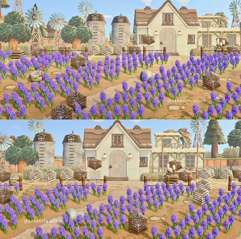 Animal Crossing Lavender Field, Acnh Lavender Fields, Acnh Lavender, Acnh Cottagecore, Happy Home Paradise, Games Aesthetic, Tom Nook, Cozy Games, Lavender Field