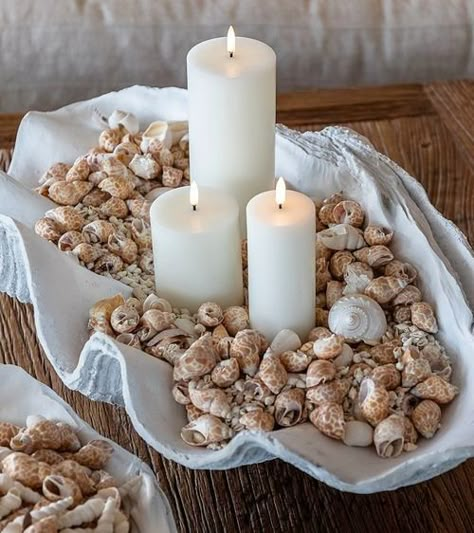 How to Use Clam Shells as Bowls & Planters | Decor Ideas for Giant Clams Candle Display Ideas, Bedroom Ideas Baddie, Coastal Decorating Ideas, Beach Candle Holder, Florida Beach Cottage, Shell Bowls, Bissell Carpet Cleaner, Giant Clam Shell, Seashell Collection