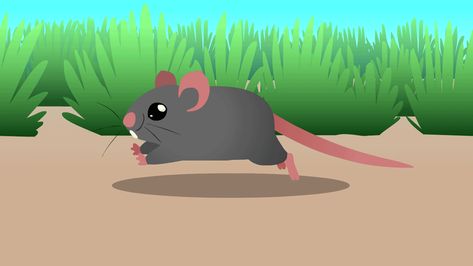 mouse gif - Google Search Rat Animation, Up Animation, Gif Animated, Dancing Gif, Cartoon Gifs, Learning Arabic, Design Artwork, Animated Images, 2d Animation