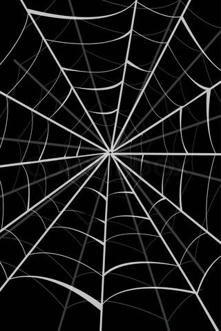 Spiderwebs. Black And White Spider Web Wallpaper, Spider Web Wallpaper Aesthetic, Spiderman Web Background, Spiderman Web Wallpaper, Spiderweb Wallpaper, Spiderweb Background, Improve Self Esteem, Spiderman Black Cat, Spider Book