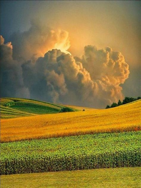 Here's What Guys Are Pinning On Pinterest (32 Photos) - Suburban Men - July 23, 2016 Clouds In The Sky, Clouds Photography, Sun Is Shining, Summer Sunset, Sky And Clouds, Beautiful Sky, Amazing Nature, 그림 그리기, Nature Pictures