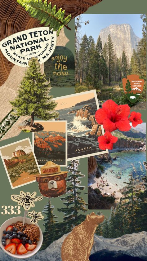 Collage Wallpaper Nature, Outdoors Aesthetic Wallpaper, Granola Background, Granola Lockscreen, National Parks Wallpaper, National Park Collage, Camping Wallpaper Iphone, National Park Wallpaper, Camping Wallpaper Aesthetic