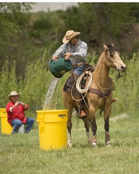 Extreme Cowboy Association EXCA obstacles Horse Camp Games, Horse Obstacle Course Ideas, Horse Obstacles, Horse Training Exercises, Camp Games, Horse Lessons, Horse Jumps, Horse Arena, Course Ideas