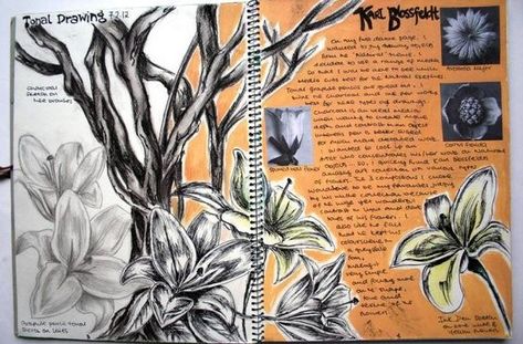 Art journal pages and scrapbook inspiration - ideas for travel journaling, art journaling, and scrapbooking. Sketchbook Layout, Textiles Sketchbook, Natural Form Art, Gcse Art Sketchbook, A Level Art Sketchbook, Trendy Art, Gcse Art, Sketchbook Pages, Arte Sketchbook