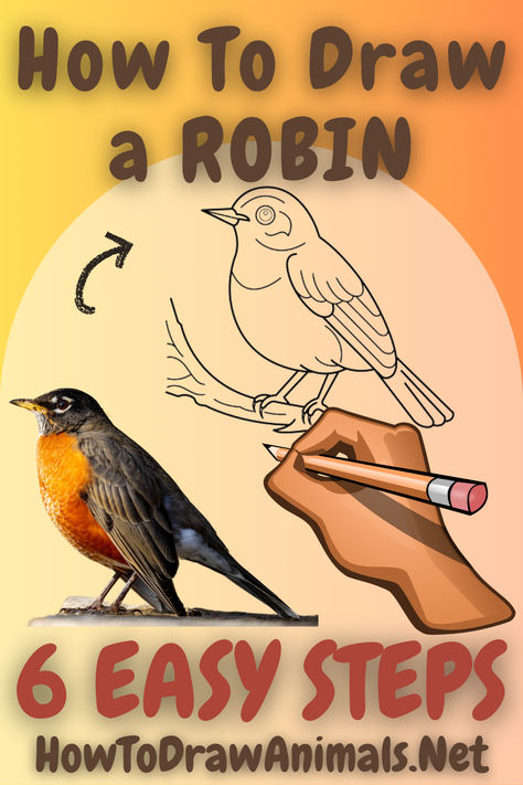 Step-by-step tutorial for drawing a robin - ideal for beginner and advanced artists! How To Draw A Robin Step By Step, Draw Birds Easy Step By Step, How To Draw A Robin, How To Draw Birds Step By Step Simple, Robin Drawing Simple, Bird Drawings Easy Step By Step, How To Draw A Bird Step By Step, How To Draw A Bird, Robin Bird Drawing