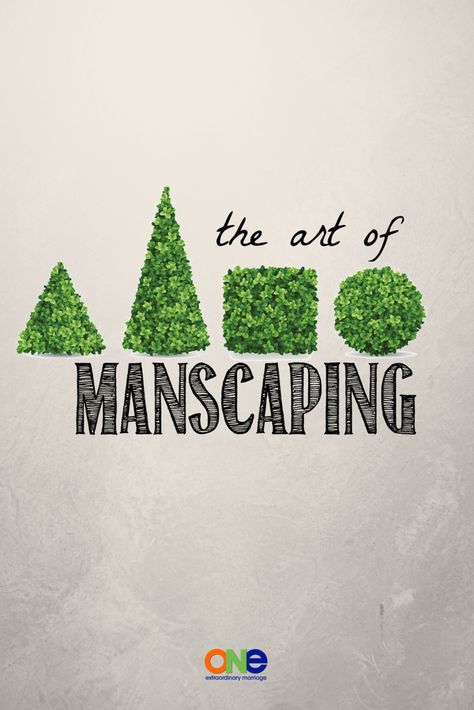 Manscaping: The removal or trimming of hair on a man’s body for cosmetic effect. This can be any place: his facial hair, chest, back, arms, legs, nose, ears, or pubic region. Pubic Hair Trimming Design, Manscaping Pictures, Manscaping Tips, Hair Trimming, Dark Underarms, Menstrual Health, Hair Trim, Strong Marriage, Hair Help