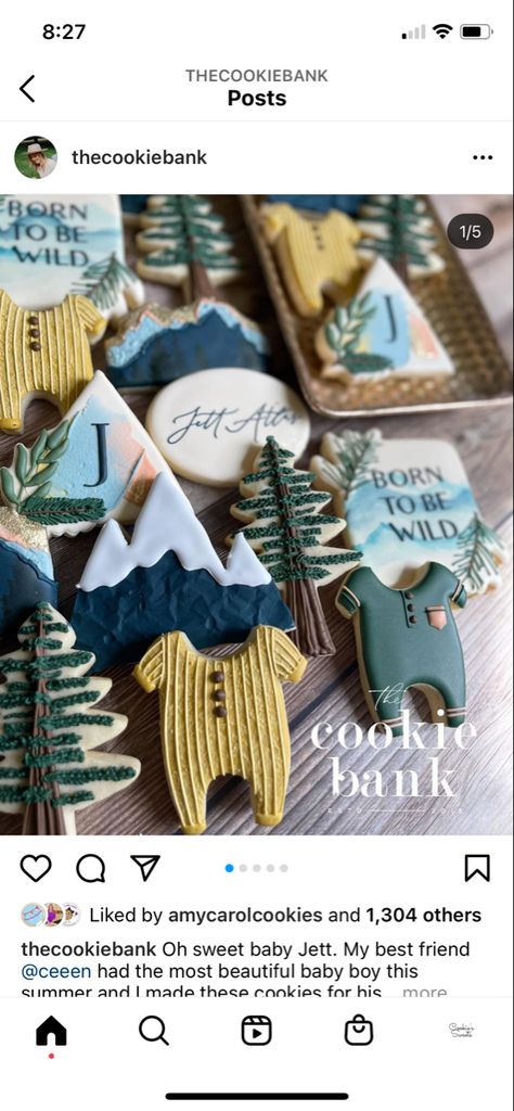 Mountain Theme Cookies Decorated, Adventure Awaits Cookies Decorated, Outdoor Themed Cookies, Forest Cookies Decorated, National Park Baby Shower Cookies, Adventure Awaits Cookies, Adventure Awaits Baby Shower Cookies, Adventure Awaits Baby Shower Ideas Boy, Hiking Baby Shower Theme