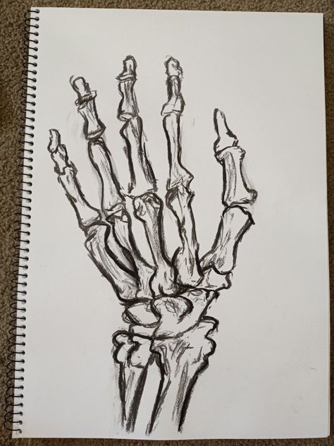 Skeletal drawing of hand Skeletal Hand Drawing, Skeletal Drawing, Skeletal Hand, Graphite Drawings, Visual Diary, Hand Drawing, Skeletal, How To Draw Hands, Humanoid Sketch