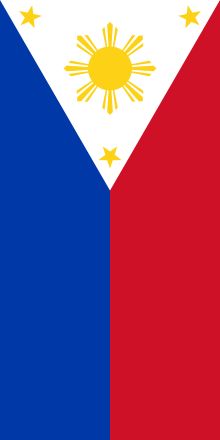 Philipino Flag, Phillipines Flag Aesthetic, Pilipinas Flag, Philippine Flag Wallpaper, Flag Philippines, World Country Flags, Filipino Flag, Philippine History, Filipino Guys