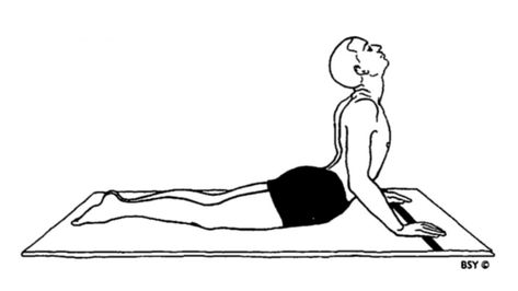 Bhujangasana - Cobra Pose In Yoga - World Yoga Forum Bhujangasana Pose, Cobra Pose Yoga, Yoga Background, Body Diagram, Yoga World, Cobra Pose, Old Portraits, Yoga Asanas, Yoga Benefits