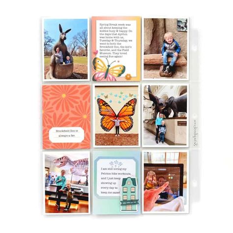 The Simple Things in Pockets with Meghann Andrew - Scrapbook & Cards Today Magazine Pocket Page Scrapbooking, Instagram Website, Jolly Holiday, Puffy Stickers, Pocket Cards, Spring Vibes, Paint Palette, Biking Workout, Simple Things