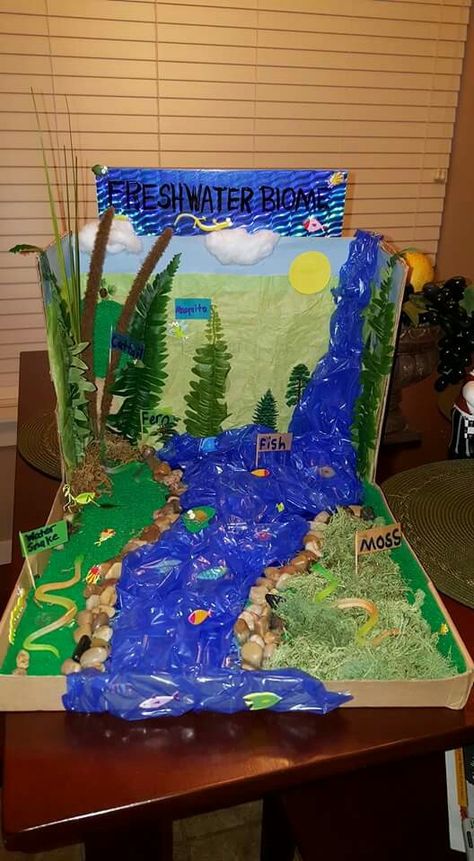 Our 3rd Grade Biome (Freshwater) Shoebox Project for school. I think it turned out pretty ok!!  ☺ Freshwater Biome Shoebox Project, Fresh Water Biome Project Ideas, Freshwater Ecosystem Project, Freshwater Biome Project, Freshwater Diorama, Biome Project Ideas, River Diorama, Wetland Biome, Ecosystems Diorama