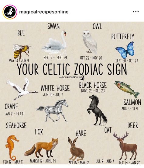 Celtic Animal Zodiac, Celtic Animals, Rune Symbols, Witch Stuff, Animal Spirit, Interesting Information, Journaling Ideas, Cute Little Animals, Spirit Animal