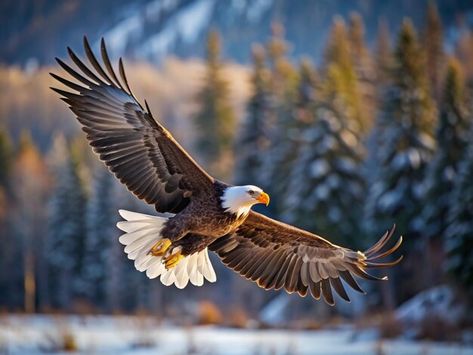 Photo an eagle flying in the air with a ... | Premium Photo #Freepik #photo Fly Air, Eagle Flying, Eagles Wings, Mountain Background, Brother Bear, Eagle Wings, An Eagle, Business Card Maker, Poster Maker