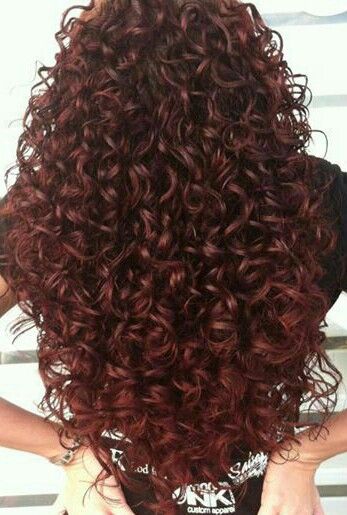 Burgundy Curly Hair, Curly Balayage Hair, Curly Hair Advice, Cherry Cola Hair, Dyed Curly Hair, Highlights Curly, Highlights Curly Hair, Wine Hair, Red Curly Hair