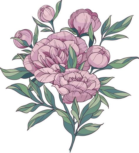 Bouquet of pink peonies. Line drawing flowers and leaves. Colored elements isolated. vector Flower Drawing With Watercolor, Peony Flower Drawing, Line Drawing Flowers, Drawing With Watercolor, Beautiful Flower Drawings, Drawing Flowers, Peonies Bouquet, Peony Flower, Pink Peonies